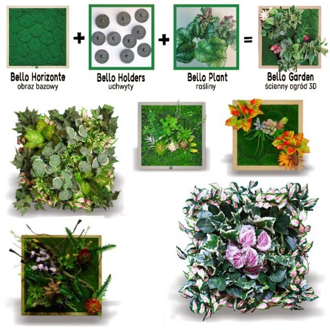 Bello Plant - Calathea Multi - roślina XXL do obrazów 3D