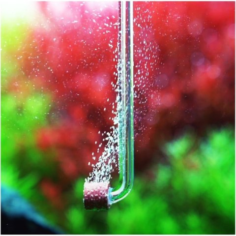 Chihiros Nano CO2 Diffuser Tiny - dyfuzor CO2 akrylowy Chihiros Nano CO2 Diffuser Tiny - dyfuzor CO2 akrylowy
