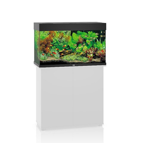 JUWEL Rio 125 LED czarny - akwarium JUWEL Rio 125 LED czarny - akwarium
