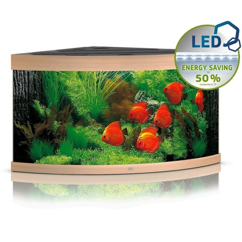 Juwel Trigon 350 LED jasne drewno - akwarium Juwel Trigon 350 LED jasne drewno - akwarium