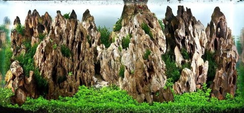Kamienie Dragon Stone Kamienie Dragon Stone