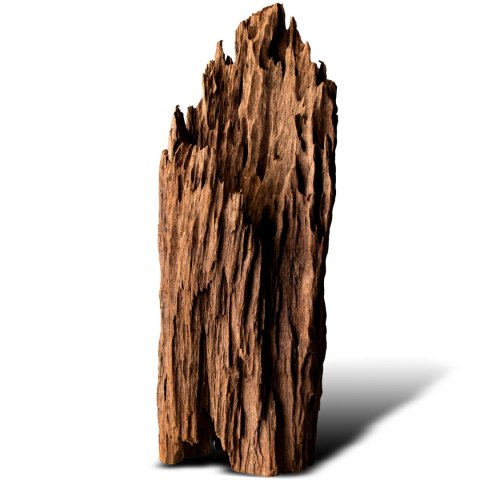 Philippines Classic Driftwood - drzewo mangrowca z wody XXL 70cm - 110cm Philippines Classic Driftwood - drzewo mangrowca z wody XXL 70cm - 110cm
