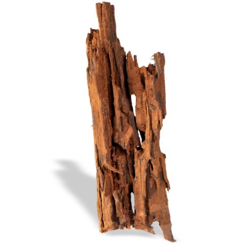 Philippines Classic Driftwood - drzewo mangrowca z wody M 25cm - 30cm Philippines Classic Driftwood - drzewo mangrowca z wody M 25cm - 30cm