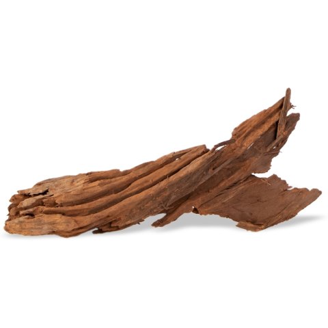 Philippines Classic Driftwood - drzewo mangrowca z wody M 25cm - 30cm Philippines Classic Driftwood - drzewo mangrowca z wody M 25cm - 30cm