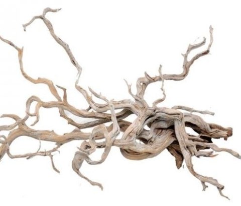 Red Moor Root - Korzenie z wrzosowisk Red Moor Root - Korzenie z wrzosowisk