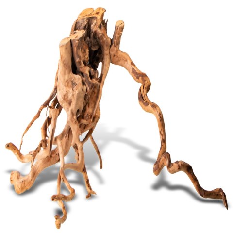 Shizen Essence J-roots L - duże korzenie japońskie Mizube i Ryuboku Shizen Essence J-roots L - duże korzenie japońskie Mizube i Ryuboku