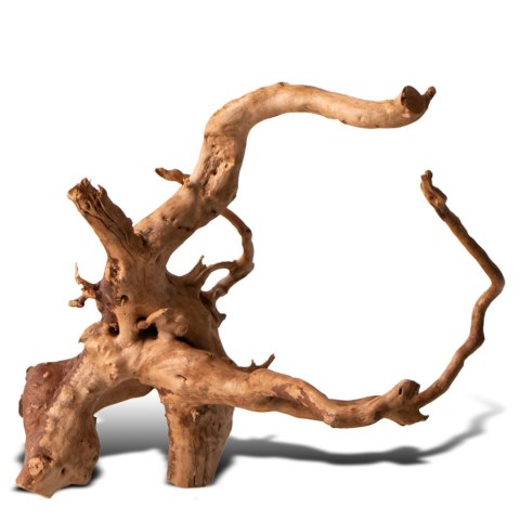 Shizen Essence J-roots XS - mini korzenie japońskie Mizube i Ryuboku Shizen Essence J-roots XS - mini korzenie japońskie Mizube i Ryuboku