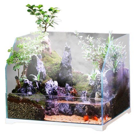 SunSun Aqua Paludarium 30 l - zestaw paludarium SunSun Aqua Paludarium 30 l - zestaw paludarium