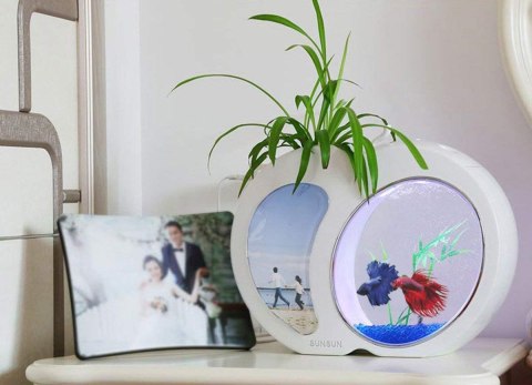 SunSun SmartPlant Aqua - Zestaw akwarium białe 3l SunSun SmartPlant Aqua - Zestaw akwarium białe 3l