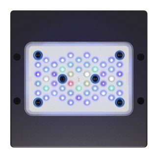 Ecotech Radion XR15 G6 Blue Led Light - oświetlenie LED do akwarium morskiego