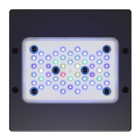 Ecotech Radion XR15 G6 Blue Led Light - oświetlenie LED do akwarium morskiego Ecotech Radion XR15 G6 Blue Led Light - oświetlenie LED do akwarium morskiego
