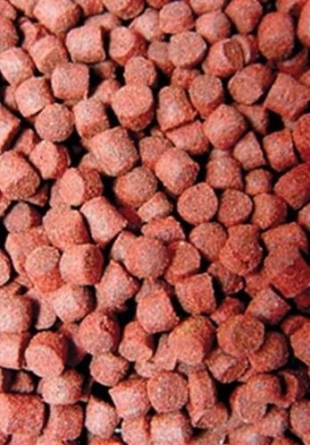 Ocean Nutrition Formula One Pellets M 100g (pokarm granulowany) Ocean Nutrition Formula One Pellets M 100g (pokarm granulowany)