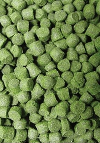 Ocean Nutrition Formula Two Pellets S 100g (drobny pokarm granulowany) Ocean Nutrition Formula Two Pellets S 100g (drobny pokarm granulowany)