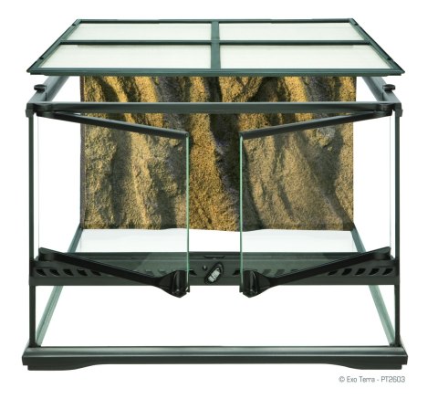 Exo Terra Terrarium szklane Small Low 45x45x30 cm Exo Terra Terrarium szklane Small Low 45x45x30 cm