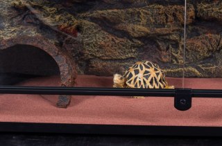 Repti-Zoo Terrarium RK 90x45x32cm