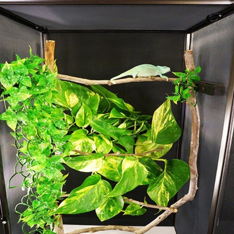Repti-Zoo Terrarium z aluminiowej siatki 60x60x120 Repti-Zoo Terrarium z aluminiowej siatki 60x60x120
