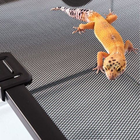Repti-Zoo terrarium RAK 50x30x25cm Repti-Zoo terrarium RAK 50x30x25cm