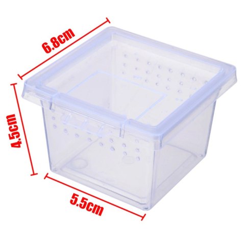 Terrario Insect Box Mini - terrarium dla owadów 6,5 x 6,5 x 4,5 cm