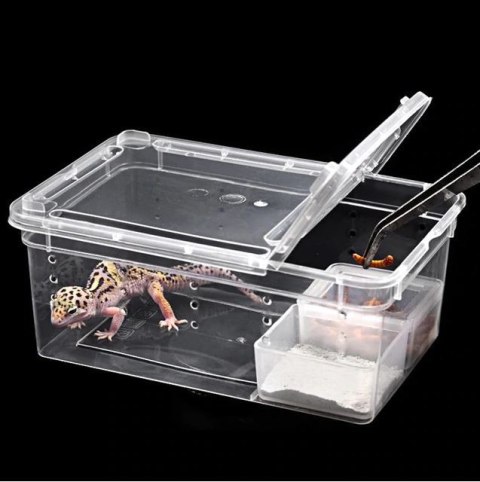 Terrario Terrarium Faunarium 26x18x13cm