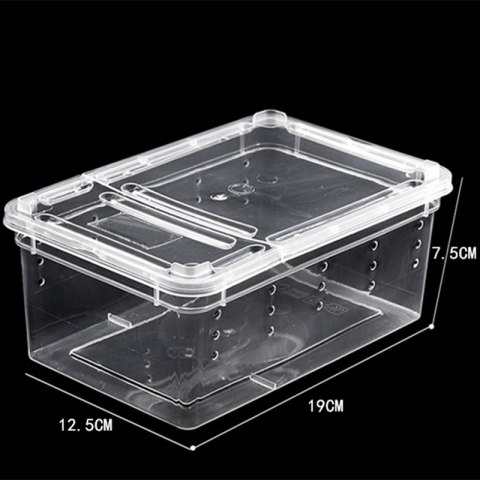 Terrario Terrarium Faunarium 33x22x15cm