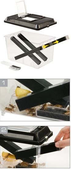 EXO TERRA Cricket Pen L Terrarium na karmówkę (30x20,5x19,5cm)