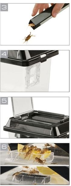 EXO TERRA Cricket Pen S Terrarium na karmówkę (18x14x11cm) EXO TERRA Cricket Pen S Terrarium na karmówkę (18x14x11cm)