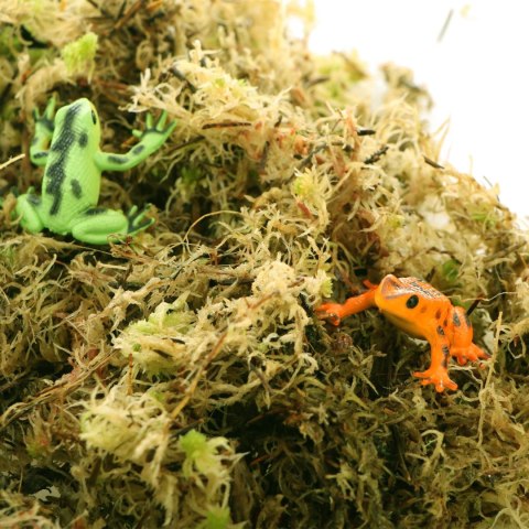 Komodo Habitat Moss 3l - żywy mech torfowiec 400g Komodo Habitat Moss 3l - żywy mech torfowiec 400g