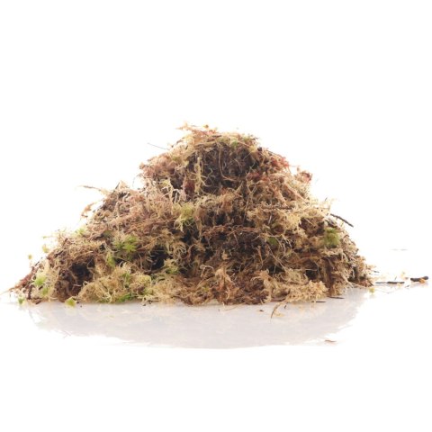 Komodo Habitat Moss 3l - żywy mech torfowiec 400g Komodo Habitat Moss 3l - żywy mech torfowiec 400g