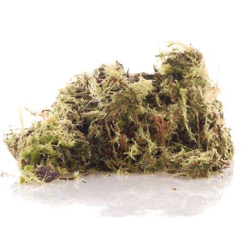 Komodo Habitat Moss 3l - żywy mech torfowiec 400g Komodo Habitat Moss 3l - żywy mech torfowiec 400g