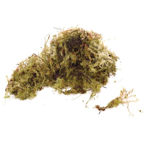 Komodo Habitat Moss 3l - żywy mech torfowiec 400g Komodo Habitat Moss 3l - żywy mech torfowiec 400g