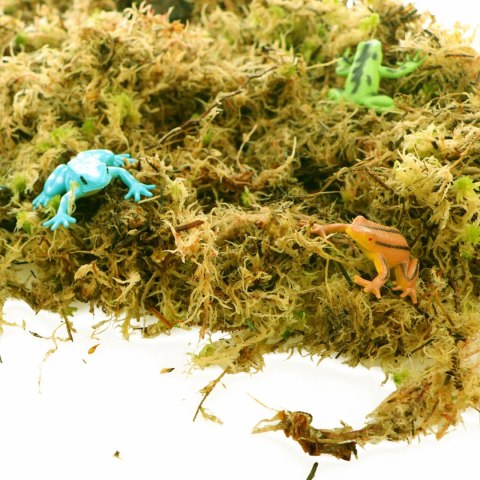 Komodo Habitat Moss 3l - żywy mech torfowiec 400g Komodo Habitat Moss 3l - żywy mech torfowiec 400g
