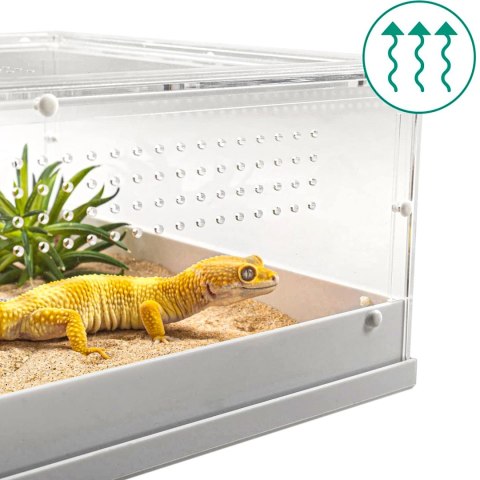 Repti-Zoo Easy Clean Acrylic Terrarium - terrarium akrylowe 20x30x15cm