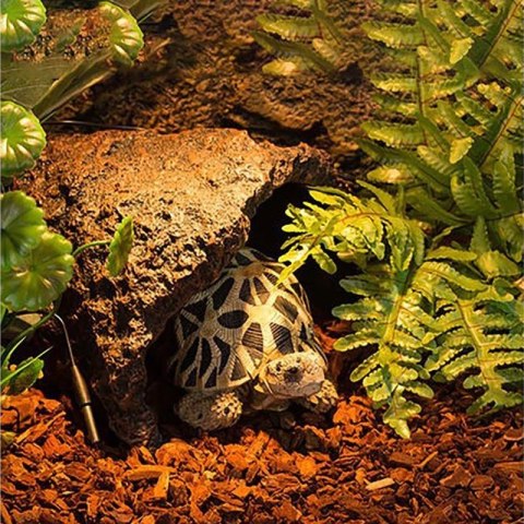 Repti-Zoo Pine Bark 4l - kora Repti-Zoo Pine Bark 4l - kora