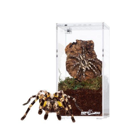 Repti-Zoo Terrarium akrylowe wysokie 7,5x7,5x15cm Repti-Zoo Terrarium akrylowe wysokie 7,5x7,5x15cm