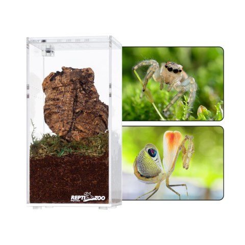 Repti-Zoo Terrarium akrylowe wysokie 7,5x7,5x15cm Repti-Zoo Terrarium akrylowe wysokie 7,5x7,5x15cm
