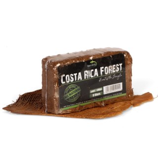 Terrario Costa Rica Forest 8l - mieszanka z włókien kokosa i zrębki kokosa