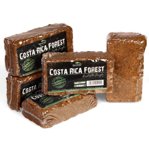 Terrario Costa Rica Forest 8l - mieszanka z włókien kokosa i zrębki kokosa Terrario Costa Rica Forest 8l - mieszanka z włókien kokosa i zrębki kokosa