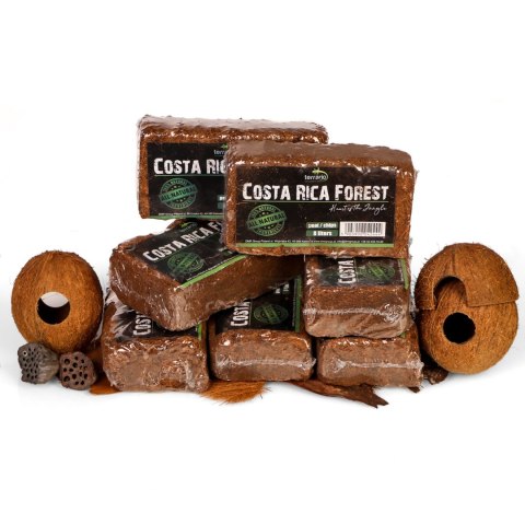 Terrario Costa Rica Forest 8l - mieszanka z włókien kokosa i zrębki kokosa Terrario Costa Rica Forest 8l - mieszanka z włókien kokosa i zrębki kokosa