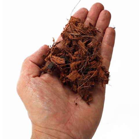Terrario Madidi Rainforest 5l 500g - drobne zrębki kokosa Terrario Madidi Rainforest 5l 500g - drobne zrębki kokosa