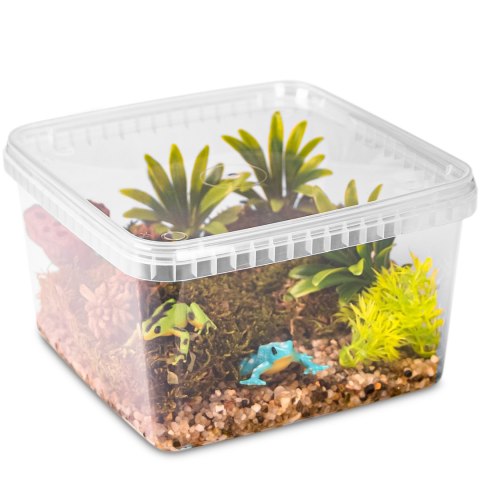 Terrario ReptiBox 19x19x12cm - przeźroczyste terrarium faunarium Terrario ReptiBox 19x19x12cm - przeźroczyste terrarium faunarium