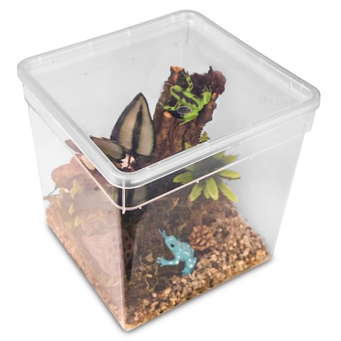 Terrario ReptiBox 19x19x19cm - przeźroczyste terrarium faunarium Terrario ReptiBox 19x19x19cm - przeźroczyste terrarium faunarium