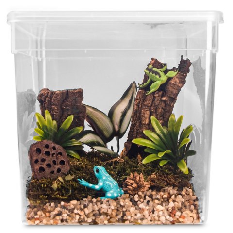 Terrario ReptiBox 19x19x19cm - przeźroczyste terrarium faunarium Terrario ReptiBox 19x19x19cm - przeźroczyste terrarium faunarium