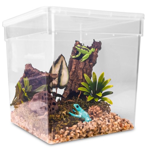 Terrario ReptiBox 19x19x19cm - przeźroczyste terrarium faunarium Terrario ReptiBox 19x19x19cm - przeźroczyste terrarium faunarium