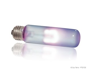 Exo Terra Sun-Glo 25W - żarówka dzienna