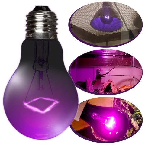 Repti-Zoo Night Heat Bulb 35W - żarówka grzewcza nocna Repti-Zoo Night Heat Bulb 35W - żarówka grzewcza nocna