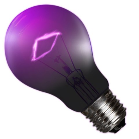 Repti-Zoo Night Heat Bulb 50W - żarówka grzewcza nocna Repti-Zoo Night Heat Bulb 50W - żarówka grzewcza nocna