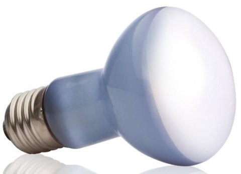 EXO TERRA Daylight 25W (żarówka grzewcza neodymowa) EXO TERRA Daylight 25W (żarówka grzewcza neodymowa)
