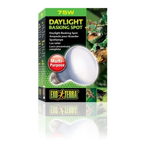 EXO TERRA Daylight Basking Spot 75W (żarówka grzewcza neodymowa) EXO TERRA Daylight Basking Spot 75W (żarówka grzewcza neodymowa)