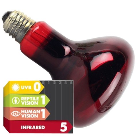 Komodo Infrared 100W - żarówka grzewcza podczerwona Komodo Infrared 100W - żarówka grzewcza podczerwona