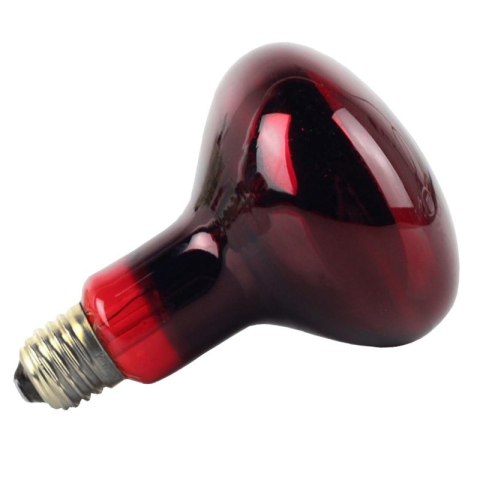 Komodo Infrared 100W - żarówka grzewcza podczerwona Komodo Infrared 100W - żarówka grzewcza podczerwona